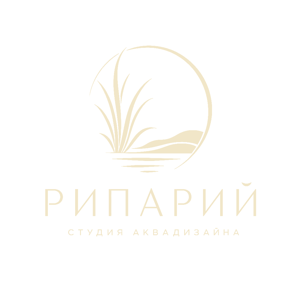 Рипарий — студия аквадизайна
